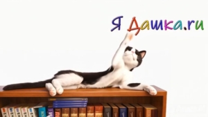 Мои видеоканалы